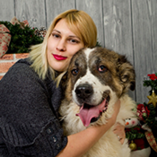 Noël du chien